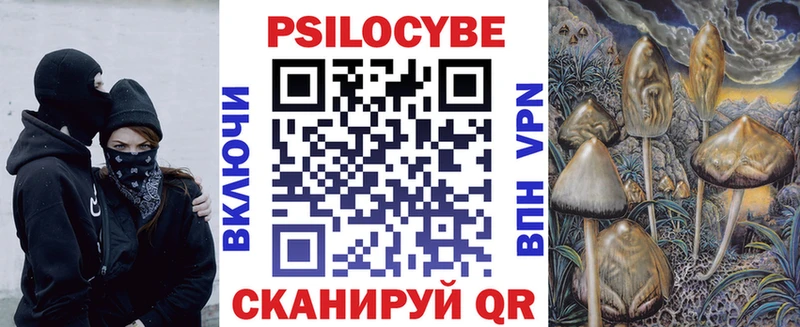 Псилоцибиновые грибы Cubensis  где купить   Циолковский 